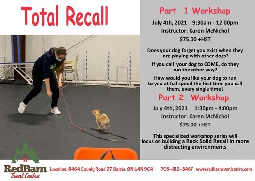 Total Recall Part 1 and 2 Workshop