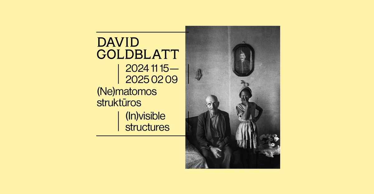 David Goldblatt. (Ne)matomos strukt\u016bros | (In)visible structures