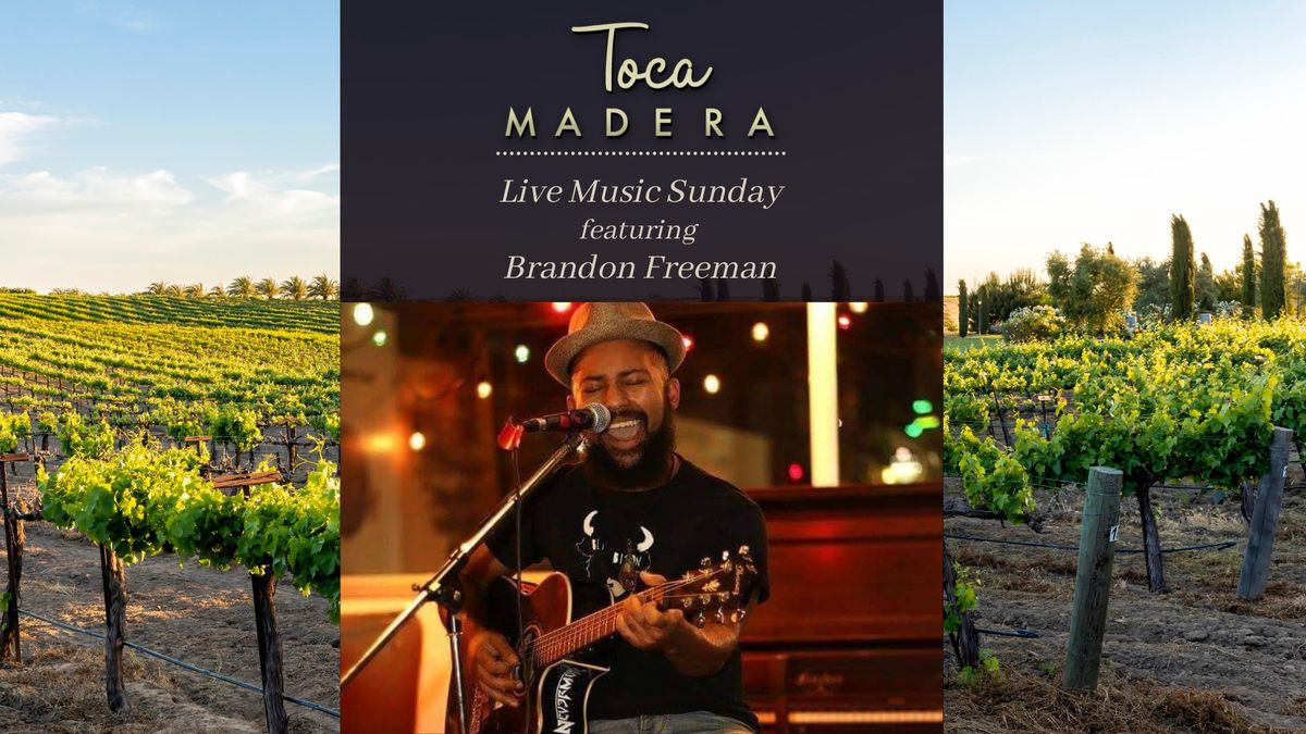 Live Music Sunday with Brandon Freeman