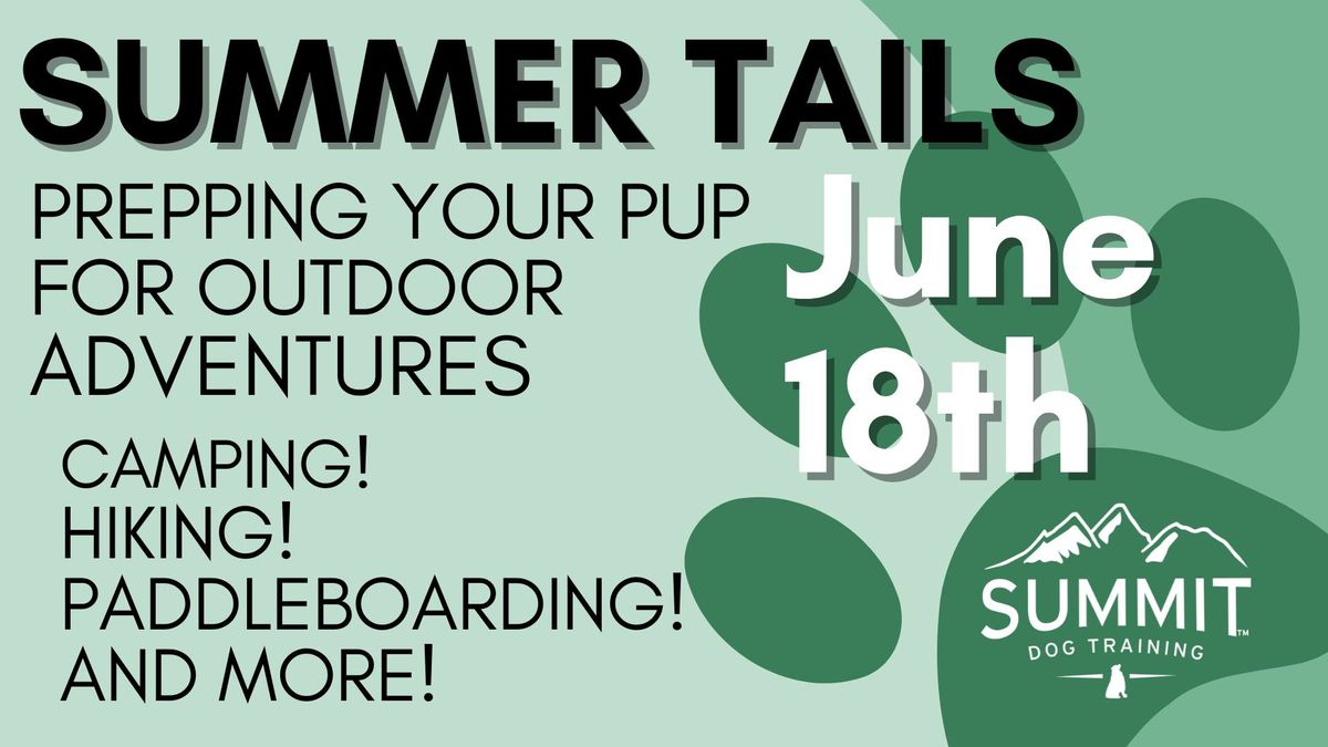 Summer Tails: Prepping Your Pup for Outdoor Adventures