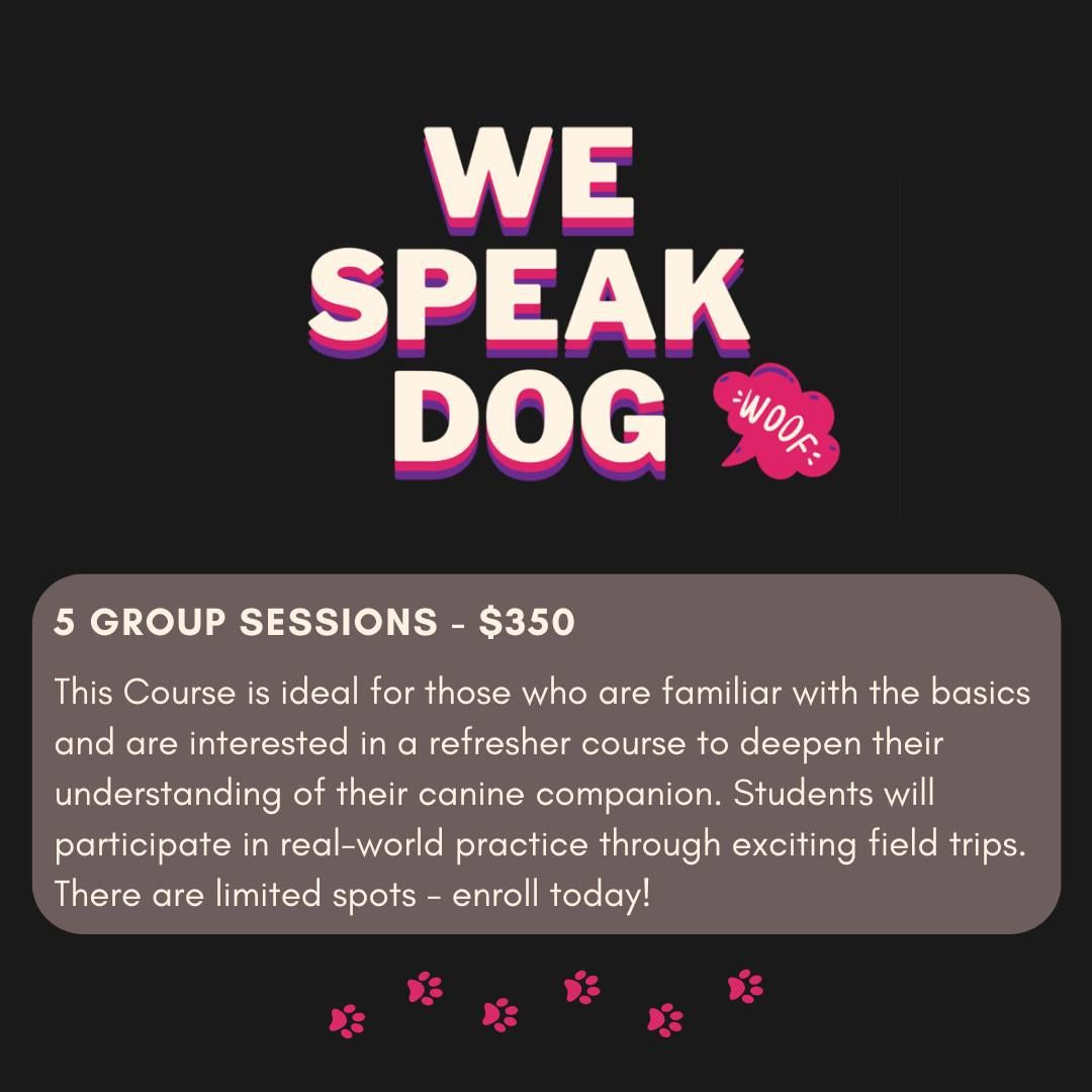 We Speak Dog Group Training Class for owners that have completed prior training with Paws N Play