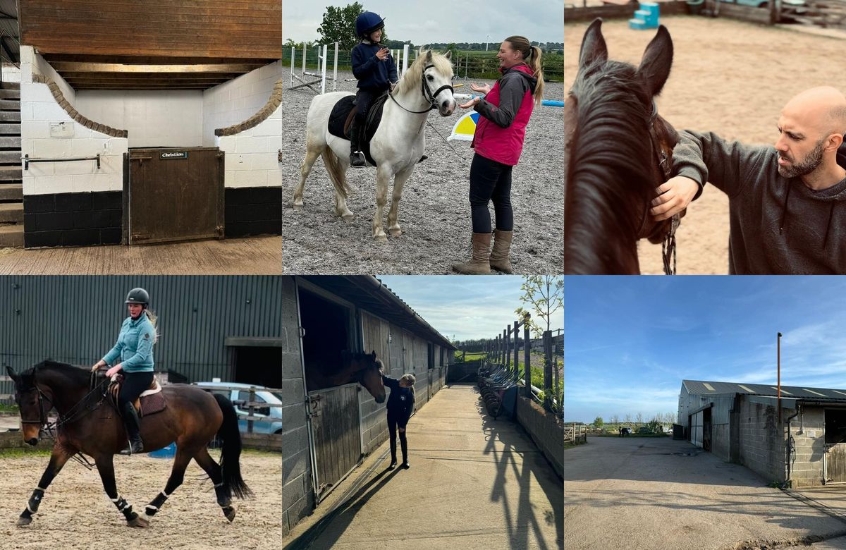 Working Equitation and in hand clinic 