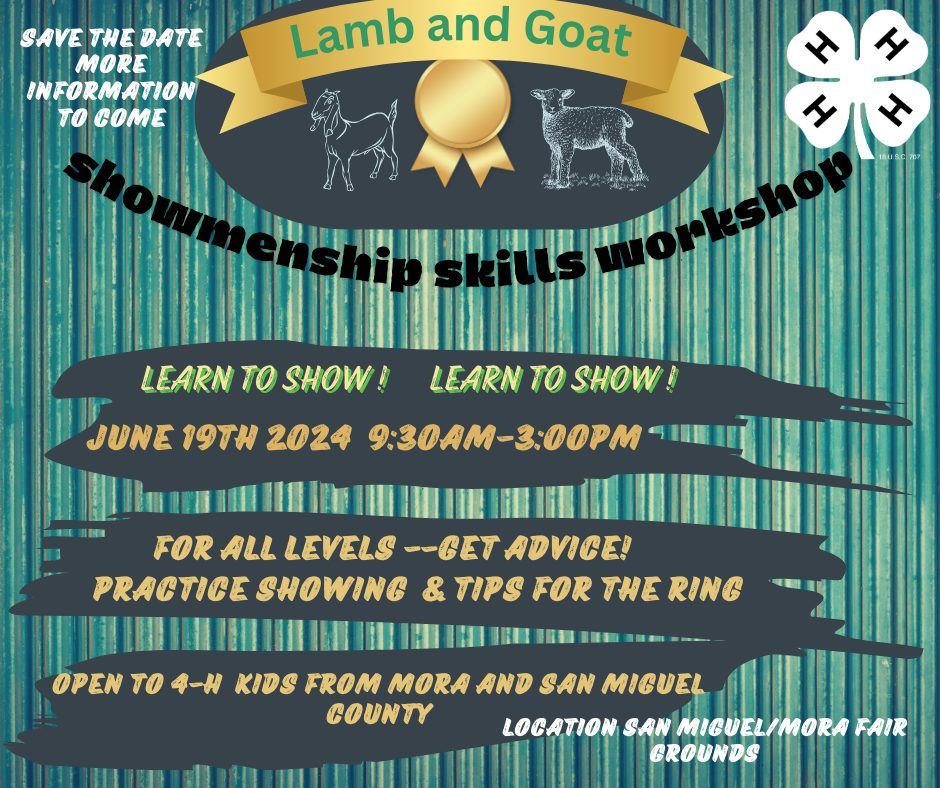 4-H Showmanship Workshop: Lambs and Goats
