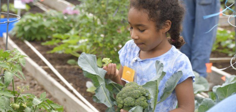 Children's Vegetable Garden Spring 2025