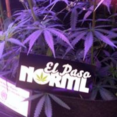 El Paso NORML