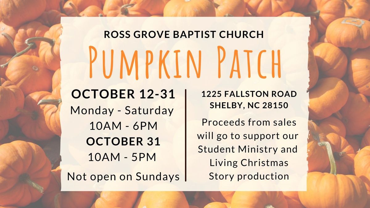 3rd Annual Ross Grove Pumpkin Patch