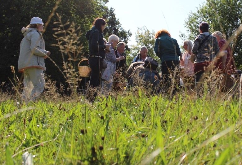 Kr\u00e4uterspaziergang 2025 - die kleine Wildapotheke 