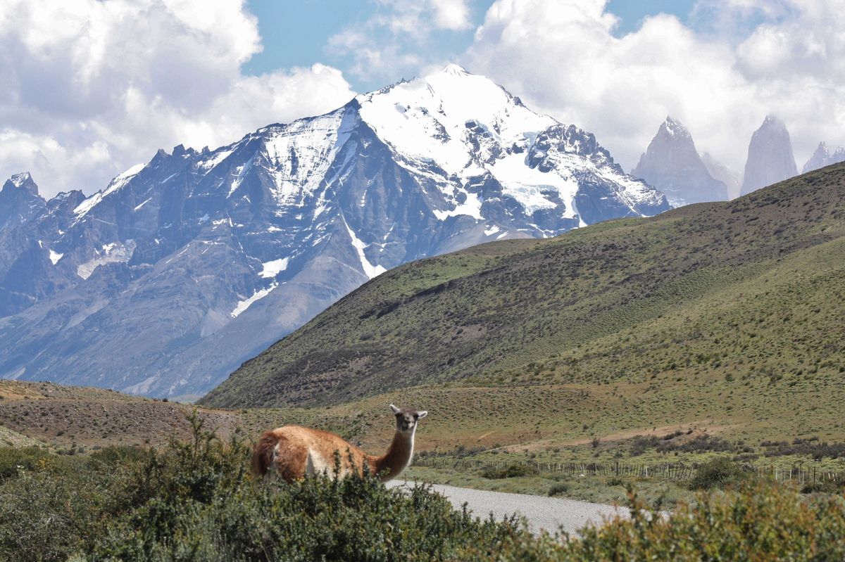 Patagonia - Peaks, Wildlife and Weather! Dave Beer and Rob Cameron 7.00pm start.