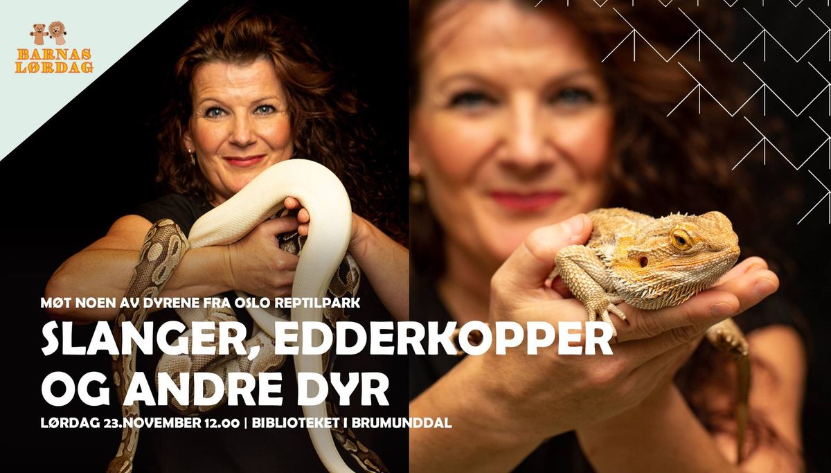 Barnas l\u00f8rdag: Slanger, edderkopper og andre dyr fra Oslo Reptilpark