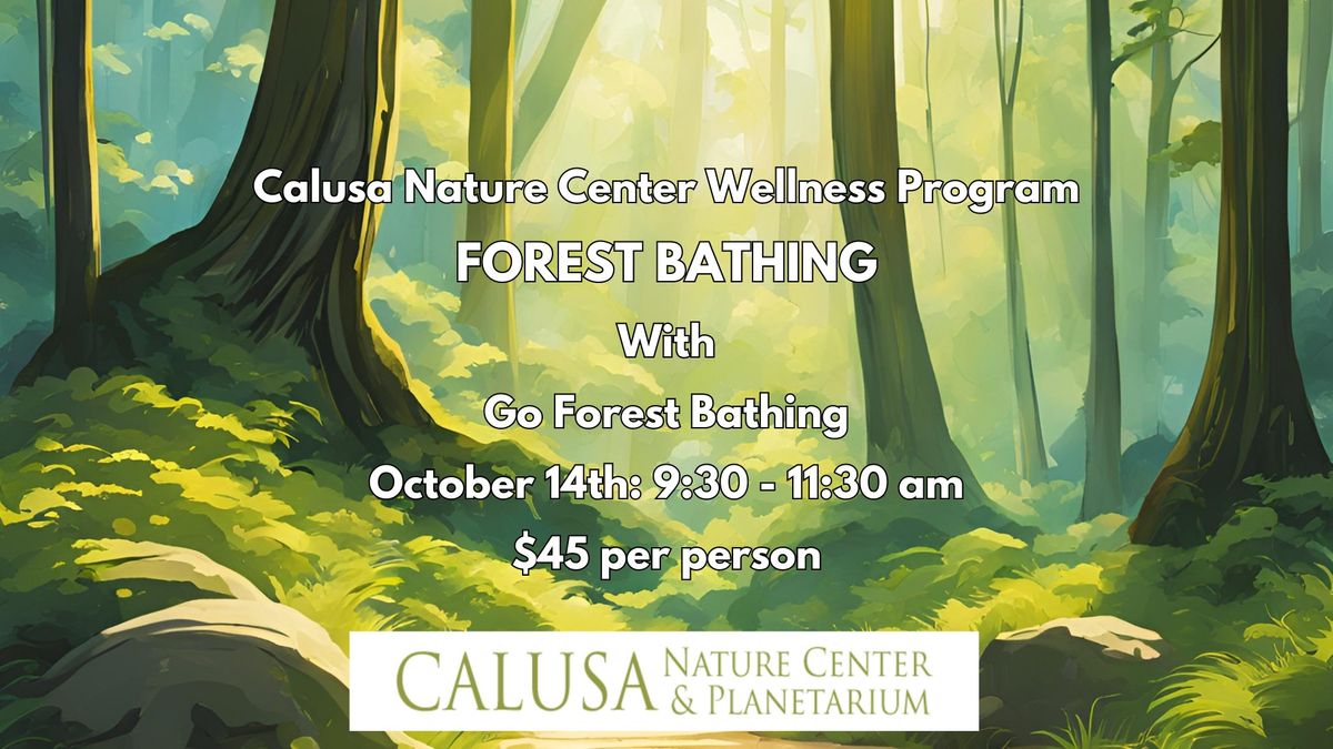 Calusa Nature Center Wellness Program: Forest Bathing