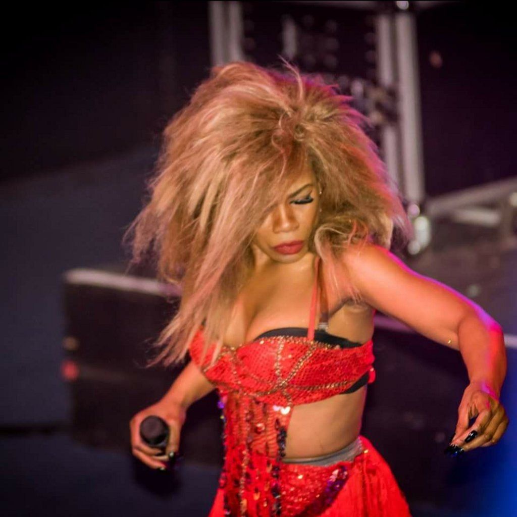 Ultimate Tina Turner Tribute -  Niqi Brown - As Seen on X Factor