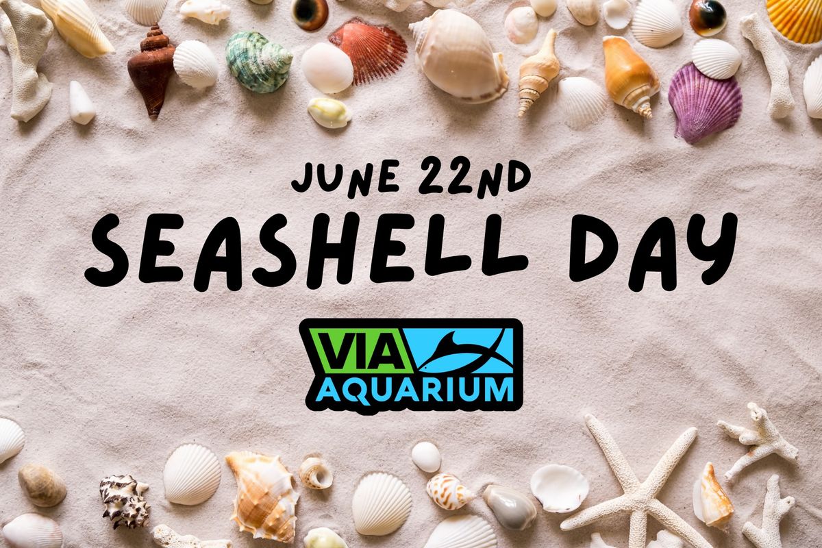 Seashell Day - Via Aquarium - June 22nd