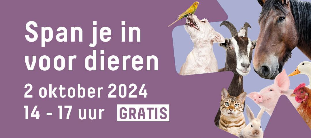 Span je in voor dieren in Provinciedomein Kessel-Lo