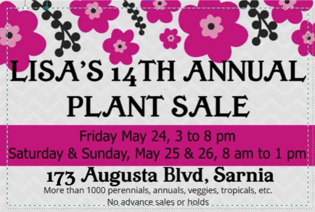 Lisa's 14th Annual Plant Sale