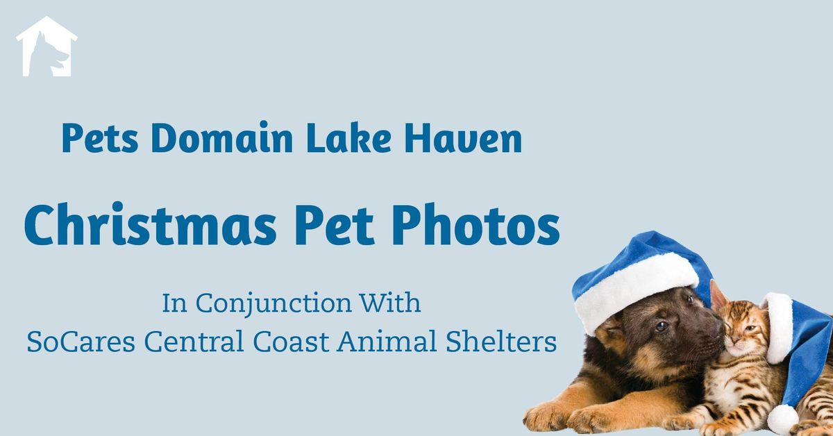 Christmas Pet Photos