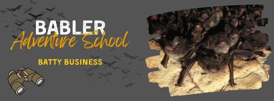 Babler Adventure School--Batty Business