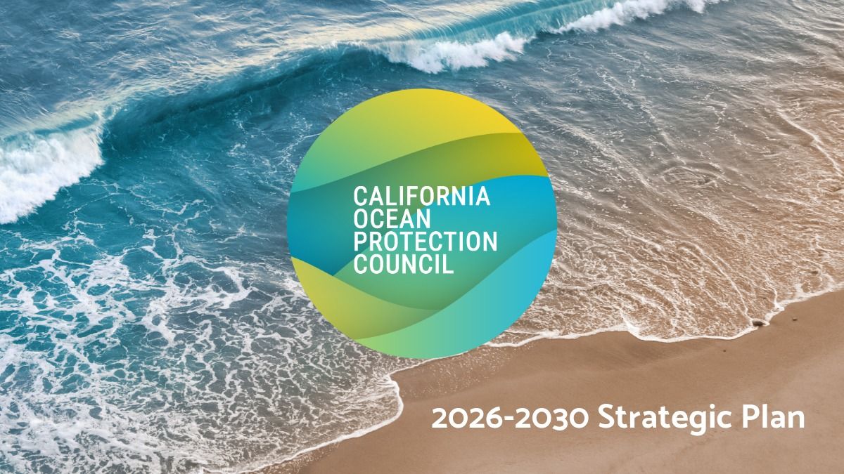 Public Listening Session: 2026-2030 OPC Strategic Plan