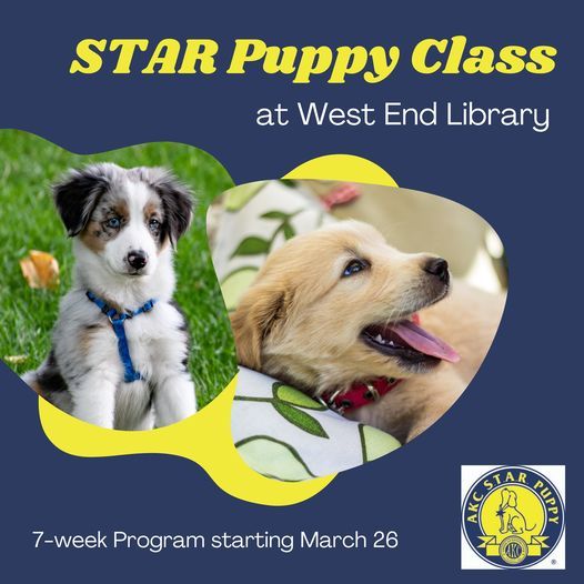 star puppy program