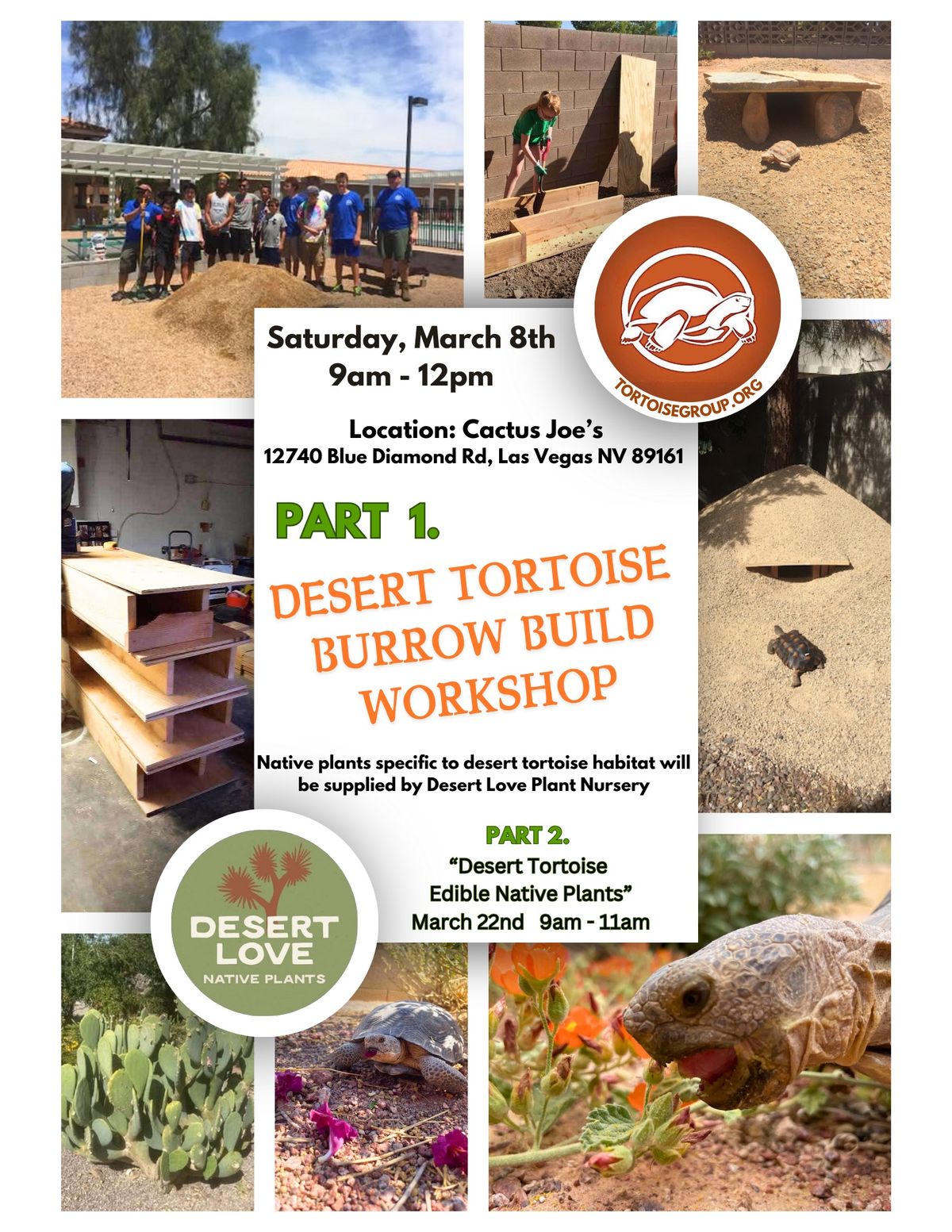 Desert Tortoise Burrow Build Workshop