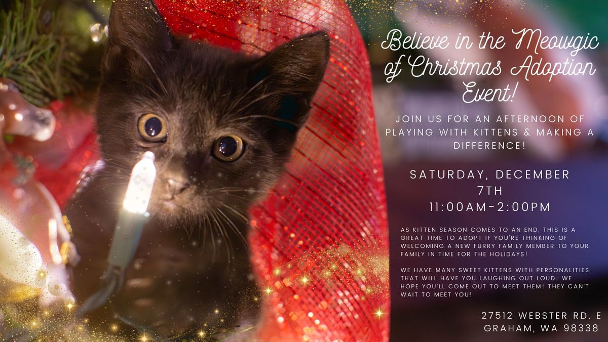 Believe in the Meowgic of Christmas Cat\/Kitten Adoption Event