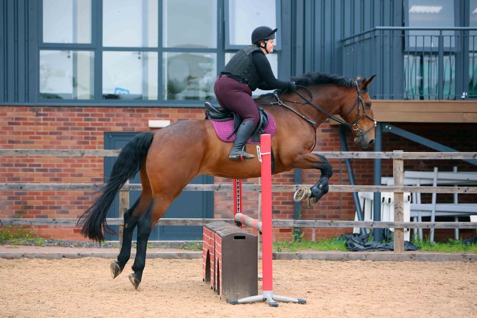 Clear Round Show Jumping - with optional Arena Eventing jumps