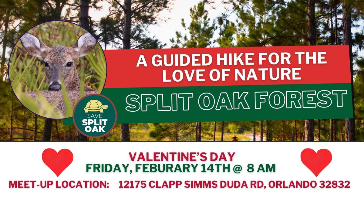 Save Split Oak: A Guided Hike for the Love of Nature