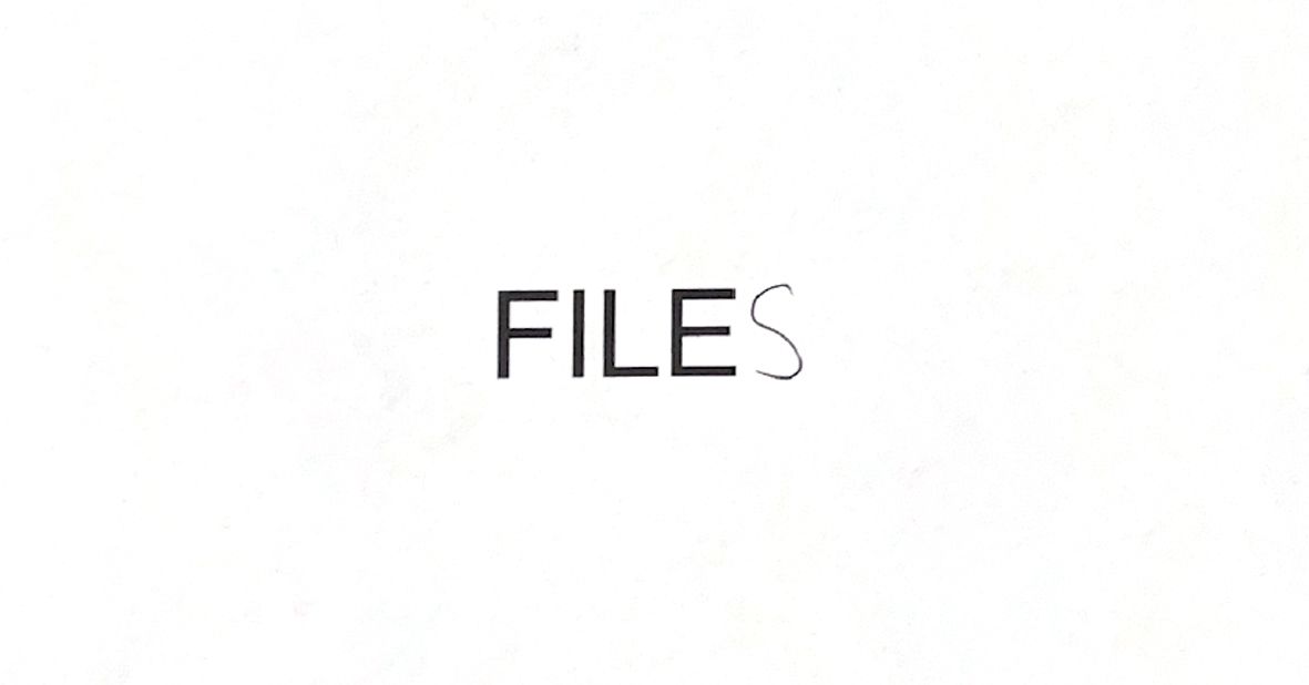 Opening of Tora Schultz: "Files"