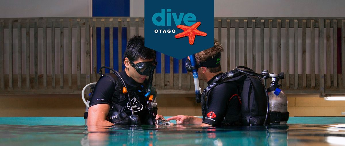 PADI ReActivate Course