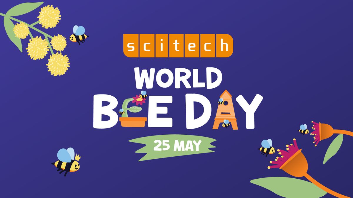 World Bee Day at Scitech