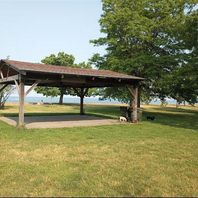 Chicago Psychedelic Buddhism