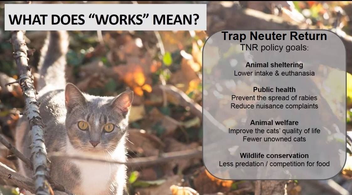 Trap Neuter Return - How to Care for Outdoor Cats