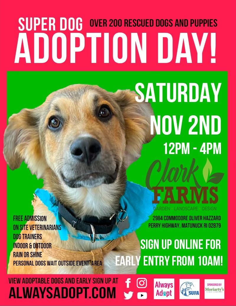 Super Dog Adoption Day