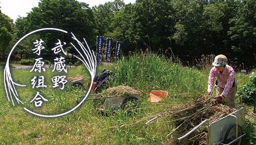 草はらの日 Pin都立光が丘公園バードサンクチュアリ Kawaguchi March 21