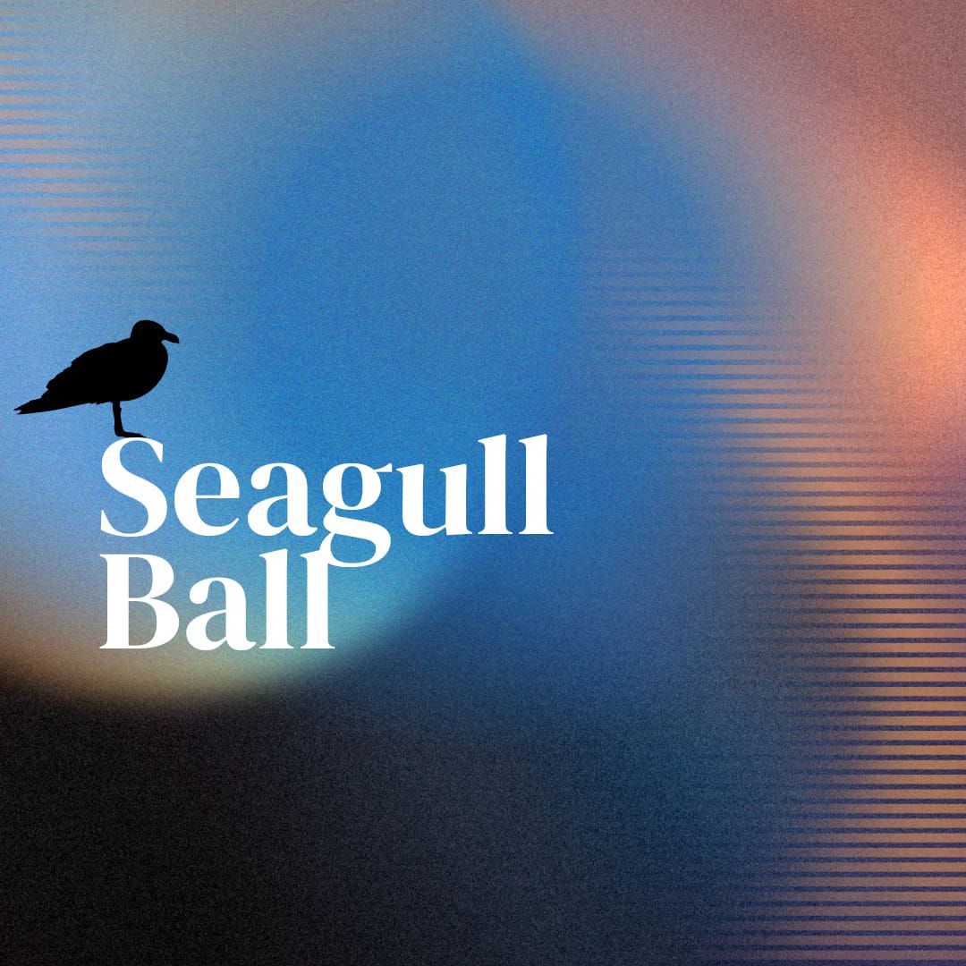 Seagull Ball 2024