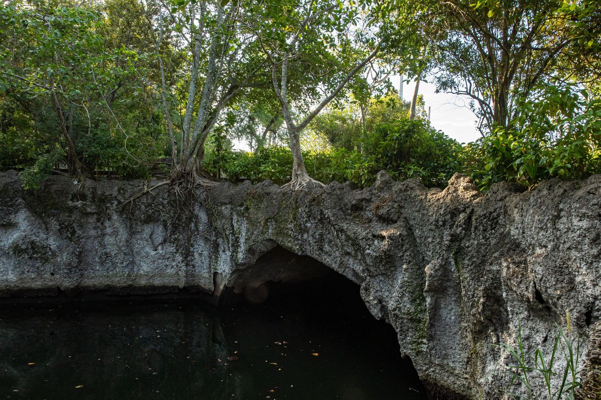 FREE  Guided Nature Walk at Arch Creek Park