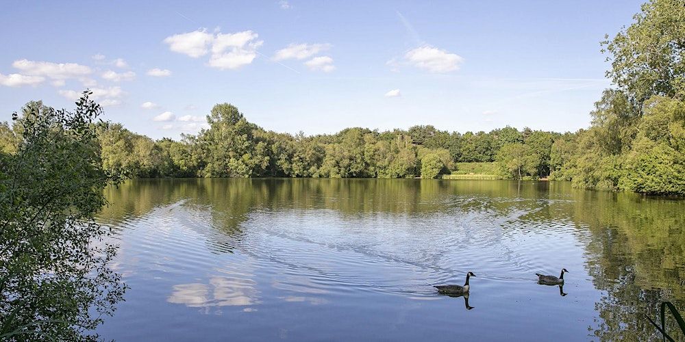 Wellesley Woodlands Health Walk - Chalk Farm Lake