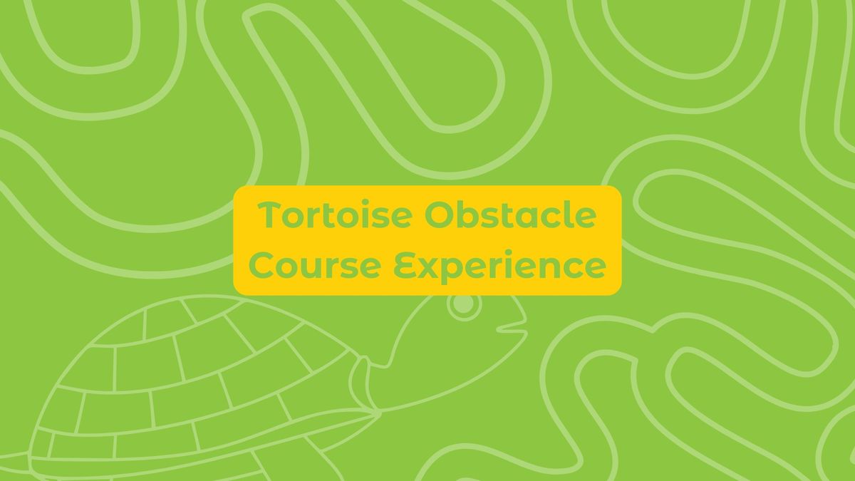 Tortoise Obstacle Course Experience