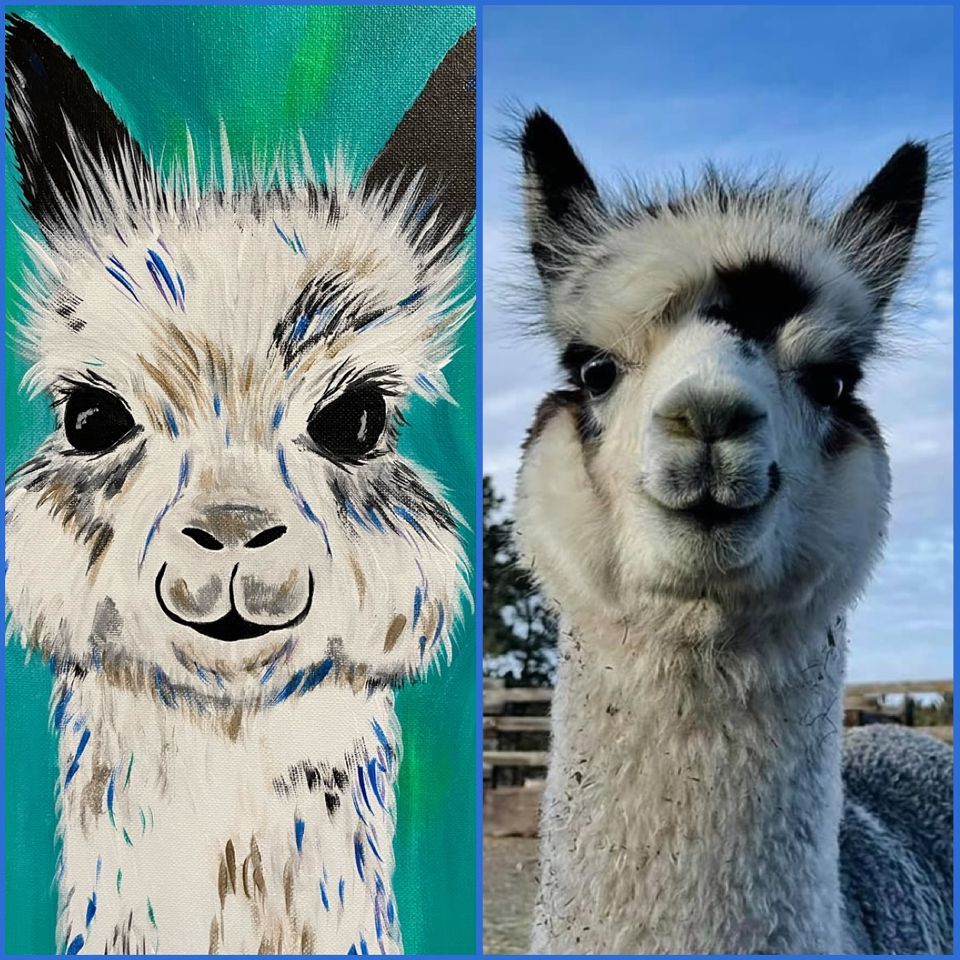 (Class Full) Painting with the Mule Train Alpacas