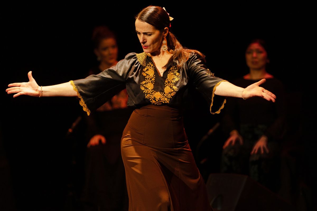 La Gran Noche de Flamenco - Mi Mundo Flamenco