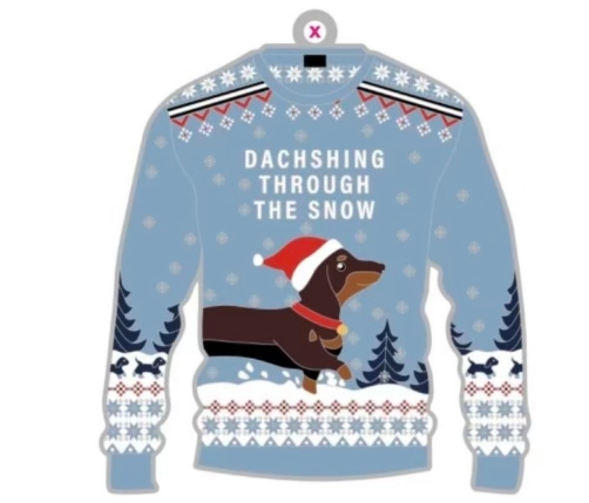 Christmas Jumper Dachshund Through The Snow Run