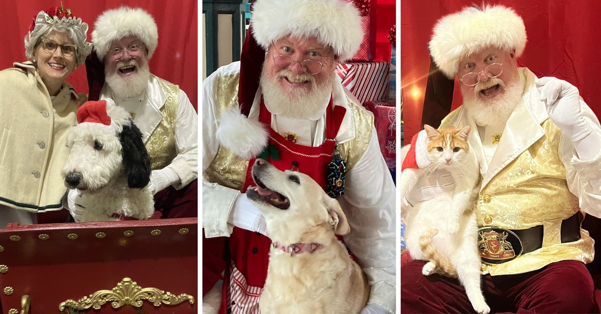 Santa Pictures With Pets