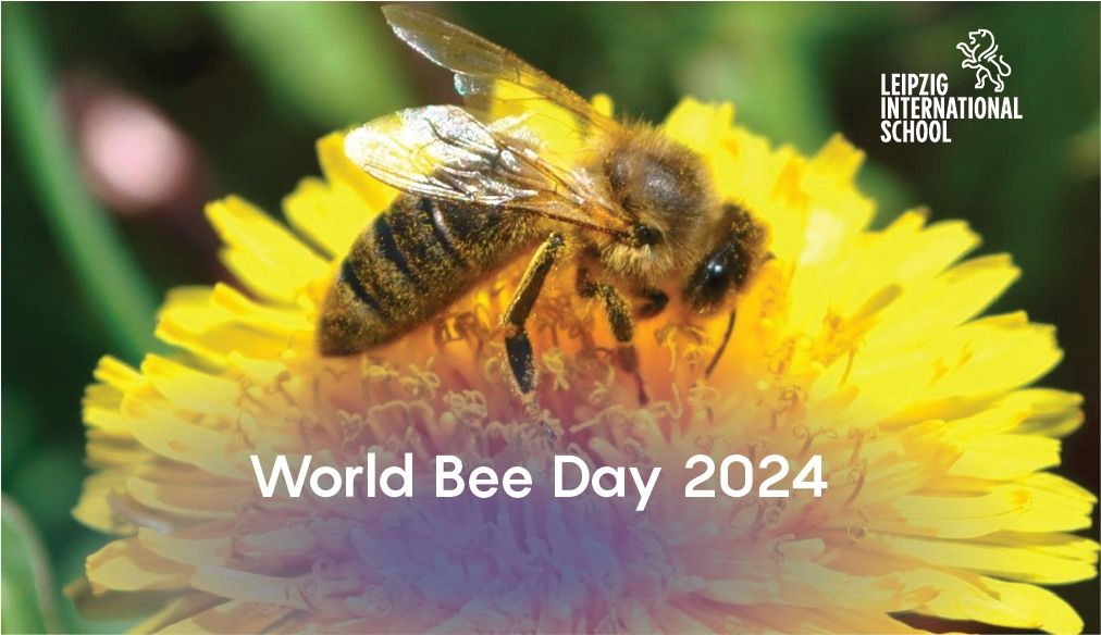 World Bee Day Celebration at LIS