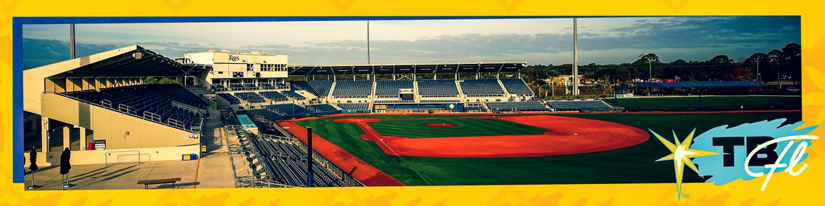 Spring Training - Atlanta Braves at Tampa Bay Rays at Charlotte Sports Park