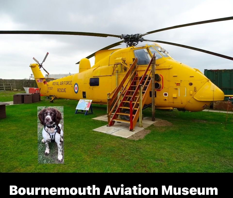 Scent Detection Workshop at the Bournemouth Aviation Museum