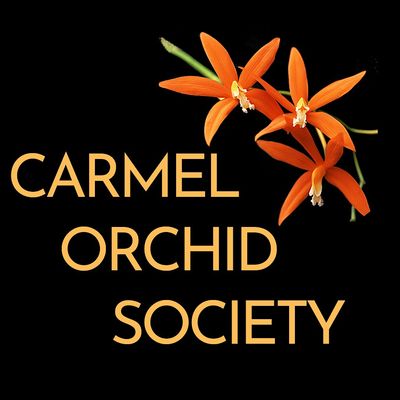 Carmel Orchid Society