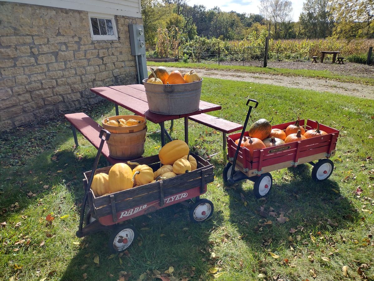 Fab-BOO-lous Pumpkin Carving Party