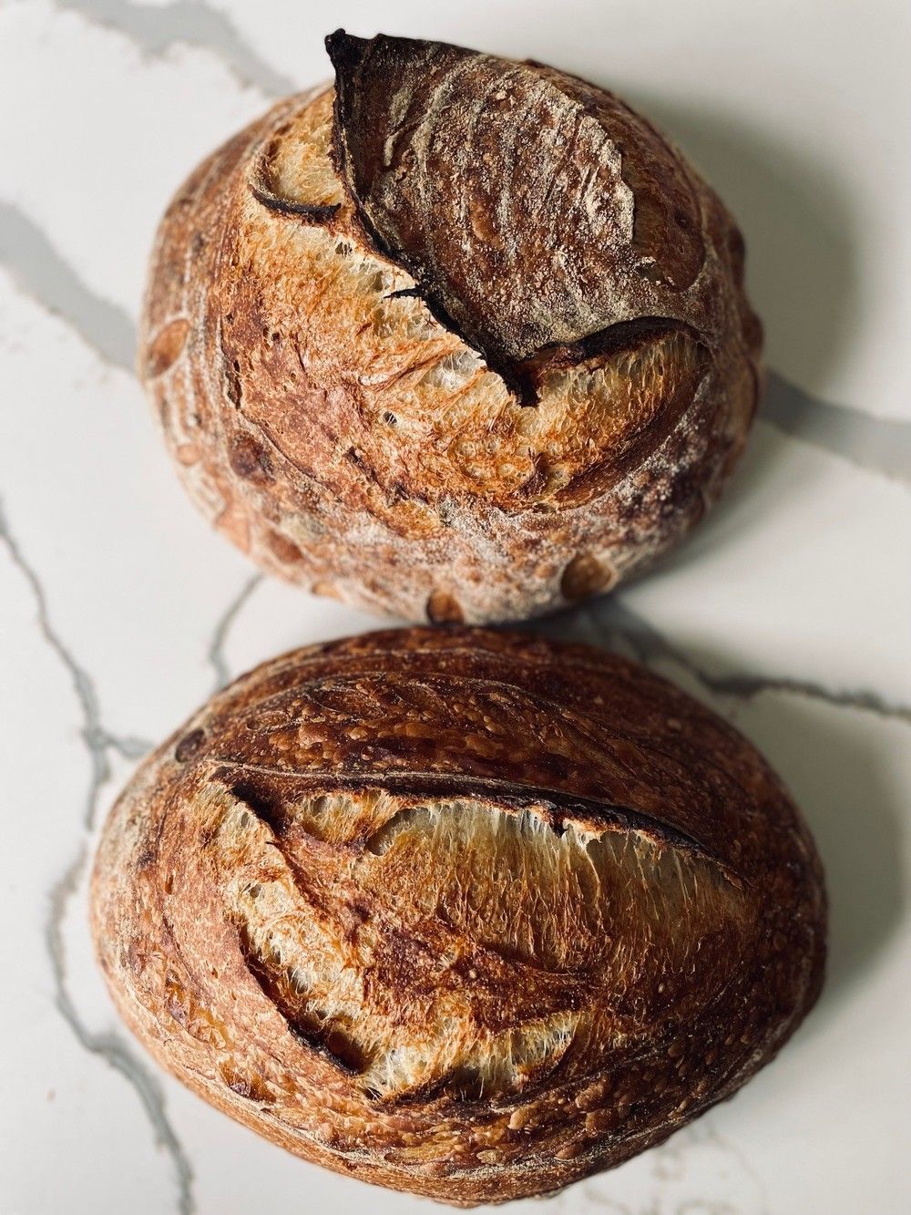 Beginner Sourdough Workshop - SOLD OUT