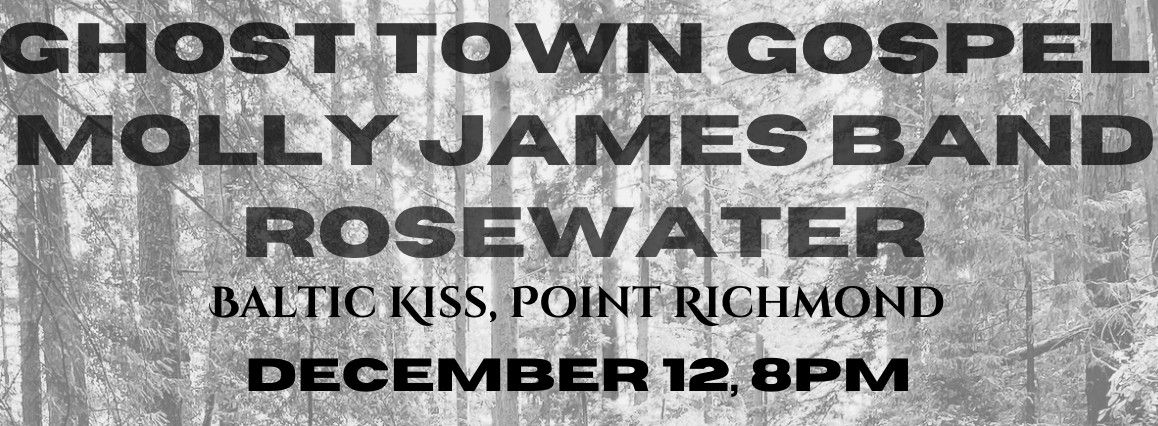 Ghost Town Gospel, Molly James Band and Rosewater at Baltic Kiss