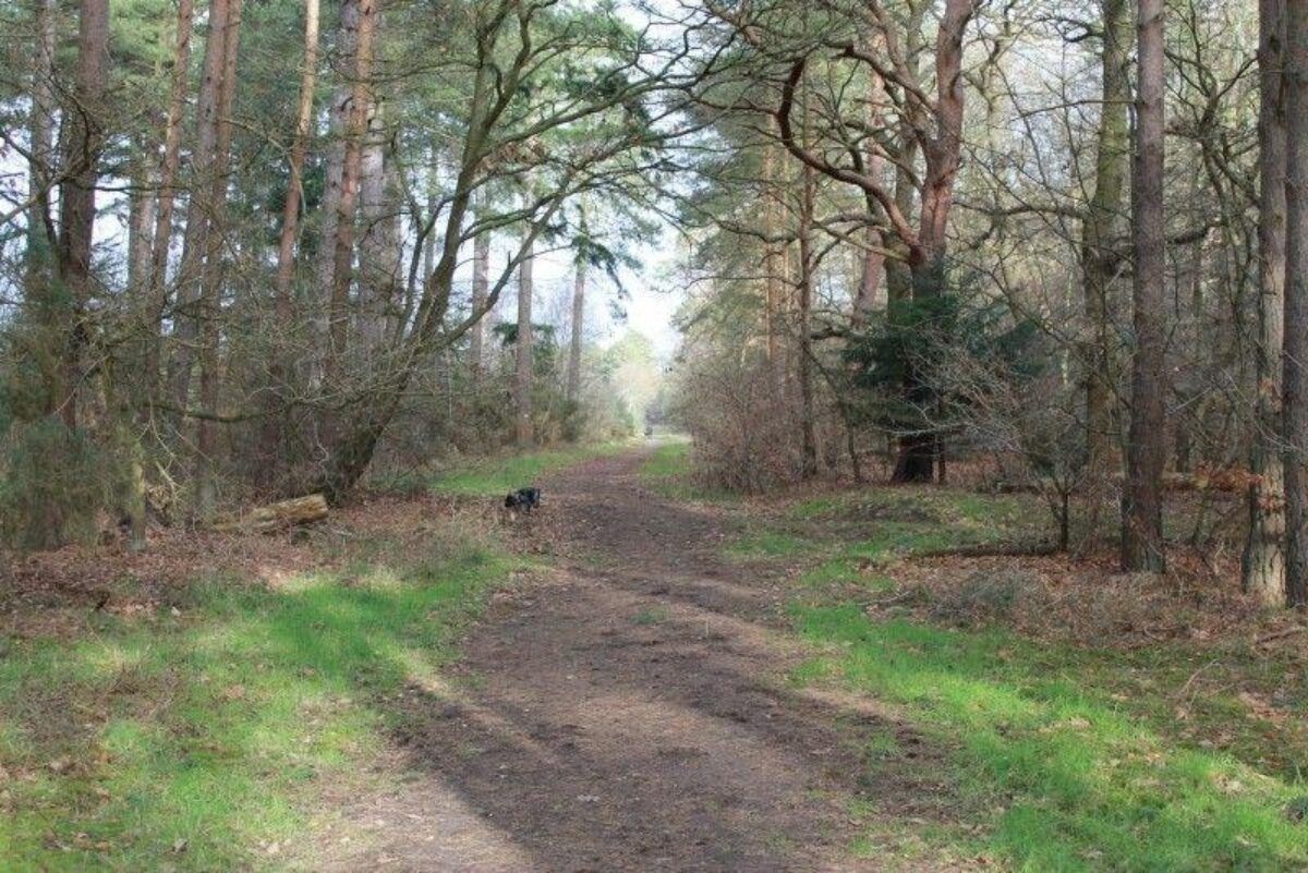 West Stow Country Park