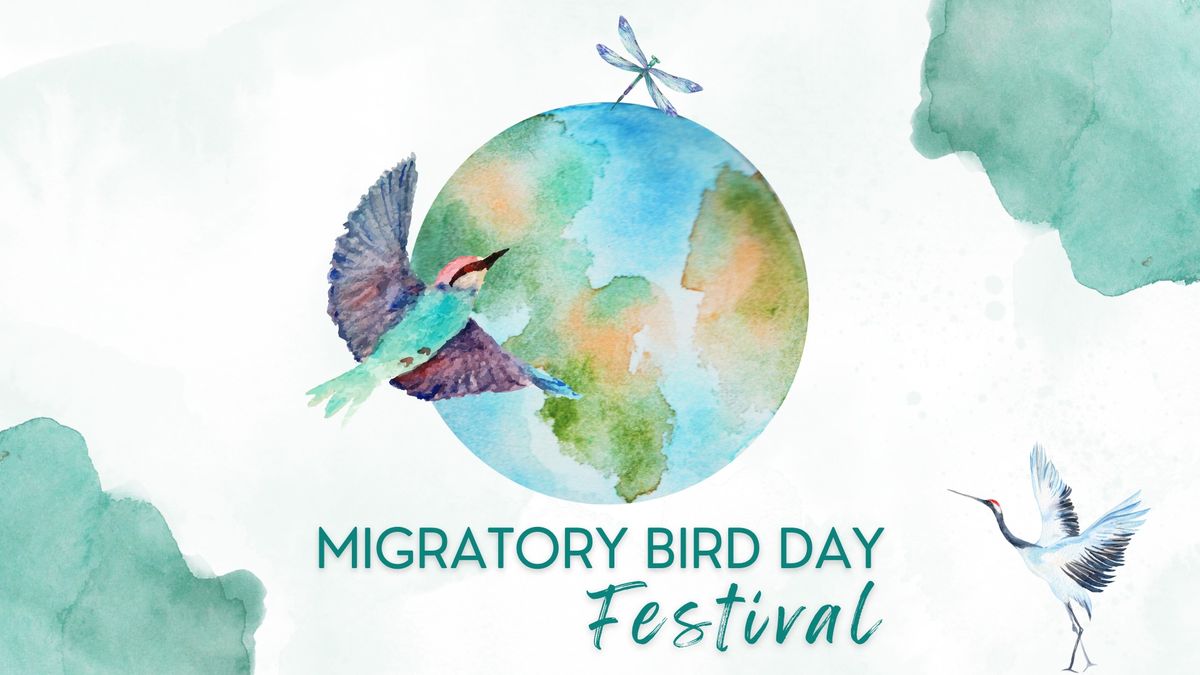 Migratory Bird Day Festival